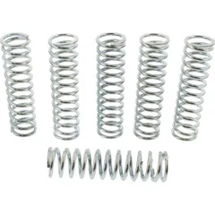 Clutch spring reinforced TRW