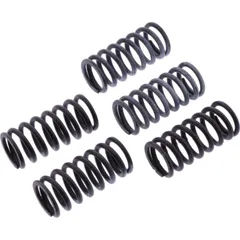 Clutch spring kit reinforced trw MEF3095