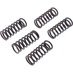 Clutch spring kit reinforced trw MEF3105