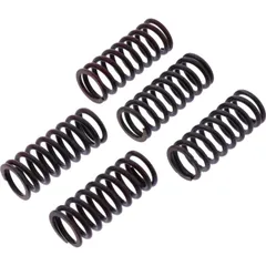 Clutch spring kit reinforced trw MEF3045
