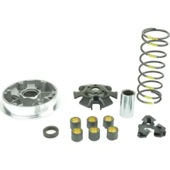 Variomatik tuning Athena P400510110004