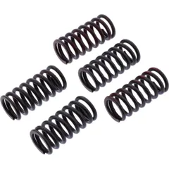 Clutch spring kit reinforced trw MEF3285