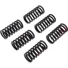 Clutch spring kit reinforced trw MEF3286