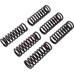 Clutch spring kit reinforced trw MEF3346