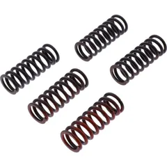 Clutch spring kit reinforced trw MEF3185