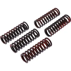 Clutch spring kit reinforced trw