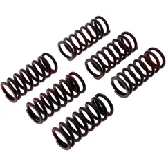 Kupplungsfeder-Kit verstärkt TRW für Motorräder 7380655