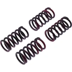 Clutch spring kit reinforced trw MEF3114