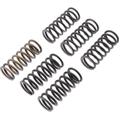 Clutch spring kit reinforced trw MEF3396