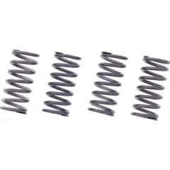 Clutch spring kit reinforced trw MEF3644