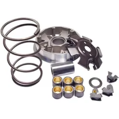 VARIOM TUNING Athena P400480110005