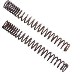 Fork springs 3012