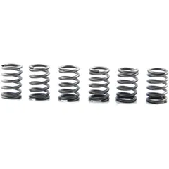 Kupplungsfeder-Kit verstärkt EBC (6 Stück) 7450077