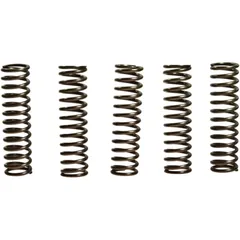 Kupplungsfedern verstärkt EBC Inhalt 5 Stück Alternative: 7389232 passend für: Kawasaki Z, ZX - 9R