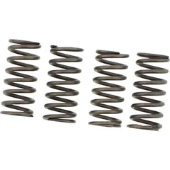 Ebc clutch spring set CSK153