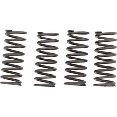 Ebc clutch spring set CSK154
