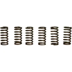 Kupplungsfedern verstärkt EBC Kit für Motorräder