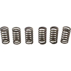 Ebc clutch spring set CSK099