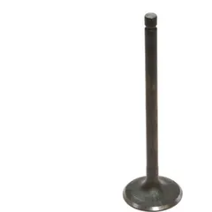 Einlassventil 68001004