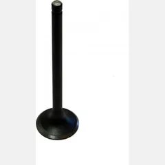 Intake valve 68011020