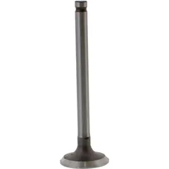 Valve exhaust 2810701