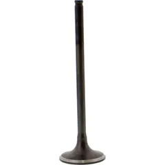 Valve exhaust 2813401