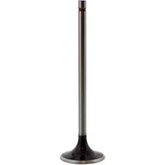 Einlassventil Stahl Prox 2813562