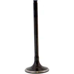 Valve exhaust 2814071