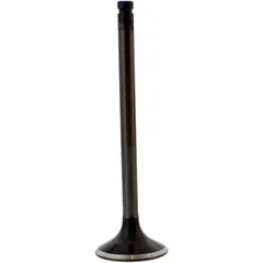 Valve exhaust 2816541