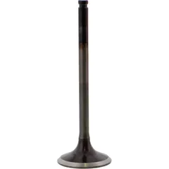 Valve exhaust 2824181
