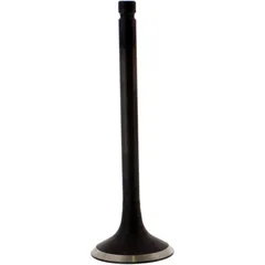 Valve exhaust 2824871