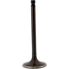 Einlassventil Stahl Prox 2824872