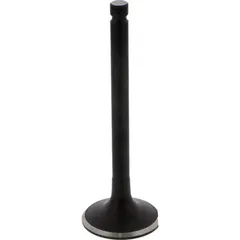 Valve exhaust 2826001
