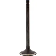 Valve exhaust 2827061