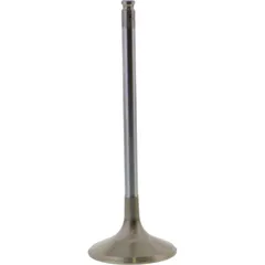 Valve exhaust 2864281