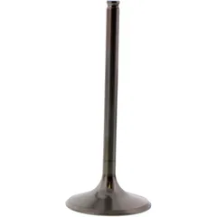 Einlassventil titan Prox 2814022