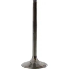 Einlassventil titan Prox 2814052