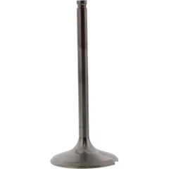 Einlassventil titan Prox 2824402