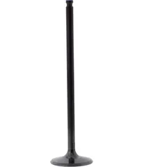 Einlassventil titan Prox 2829242