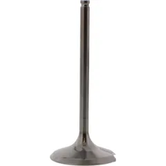 Einlassventil titan Prox 2834052