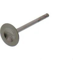 Valve exhaust