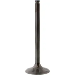 Valve exhaust 2834071
