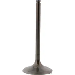 Einlassventil titan Prox 2834072