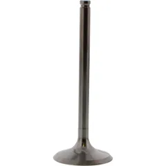 Valve exhaust 2834081