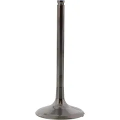 Einlassventil titan Prox 2834082