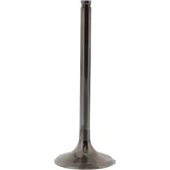 Valve exhaust 2844061