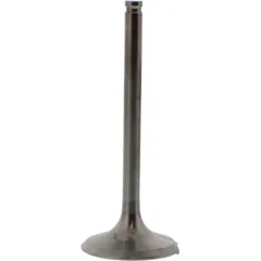 Valve exhaust 2844091