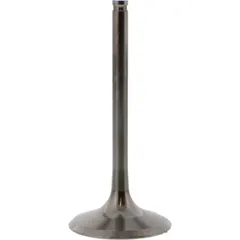 Einlassventil titan Prox 2844092