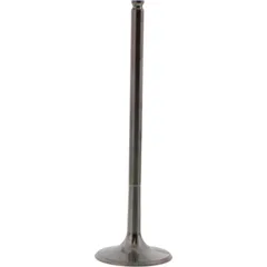 Einlassventil titan Prox 2863262