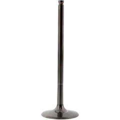 Einlassventil titan Prox 2863332